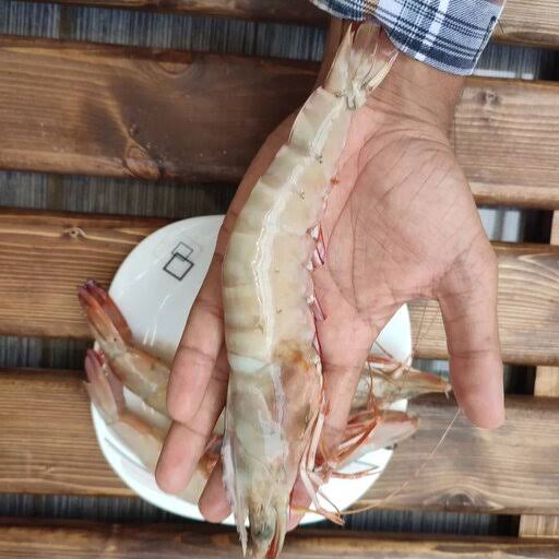 غذای دریایی